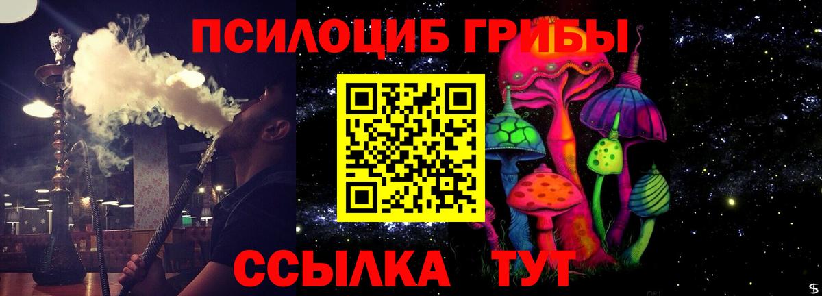 Галлюциногенные грибы Psilocybe Усолье-Сибирское