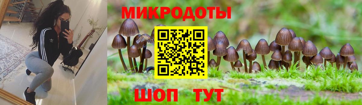 купить наркоту  Псилоцибиновые грибы Cubensis  Усолье-Сибирское  Вход с VPN  Псилоцибиновые грибы прущие грибы 